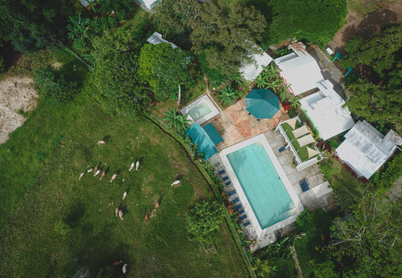 Villa en Puerto Viejo - Hogar para familias grandes con piscina, para 12 personas!